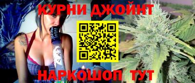 гидра Будённовск