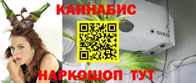 гидра Будённовск