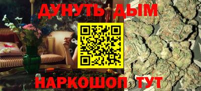 гидра Будённовск