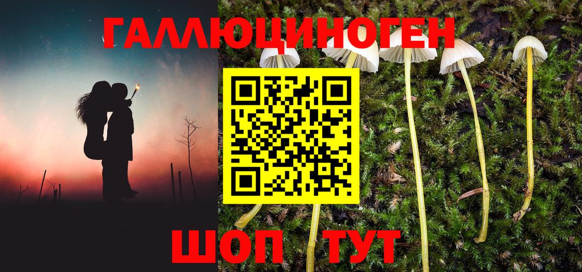 Псилоцибиновые грибы прущие грибы Ирбит